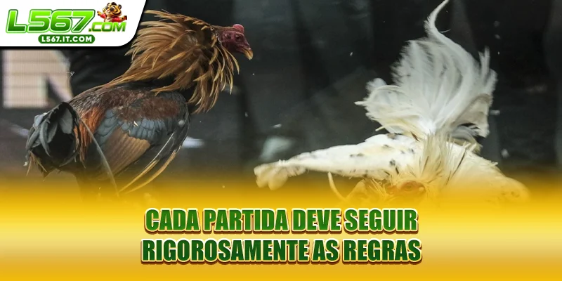 Cada partida deve seguir rigorosamente as regras