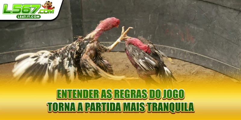 Entender as regras do jogo torna a partida mais tranquila