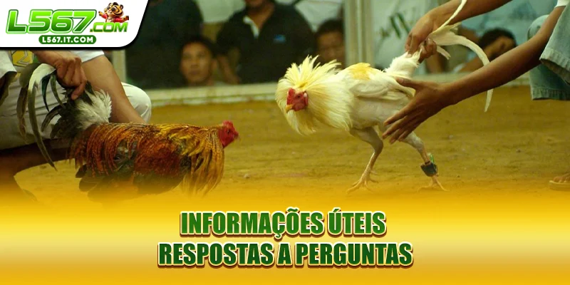 Informações úteis, respostas a perguntas
