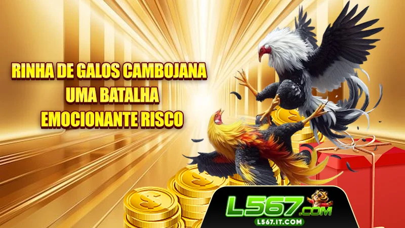 Rinha De Galos Cambojana - Uma Batalha Emocionante Risco