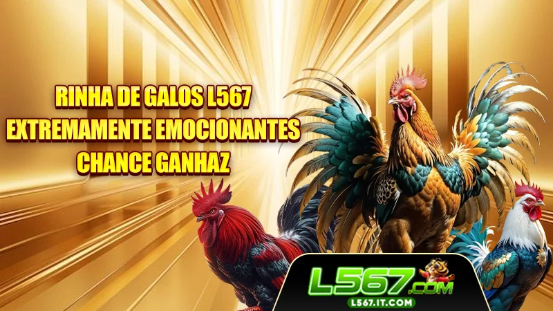 Rinha De Galos L567 Extremamente Emocionantes Chance Ganhar